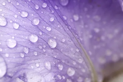 IStock-