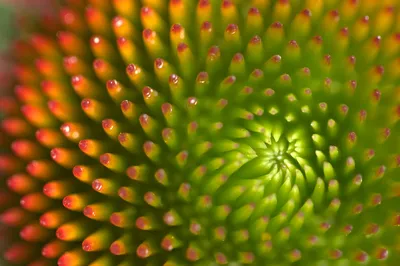 IStock-