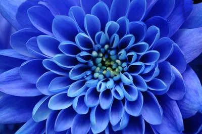 IStock-