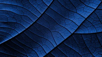 TCL Template-afbeeldingen
